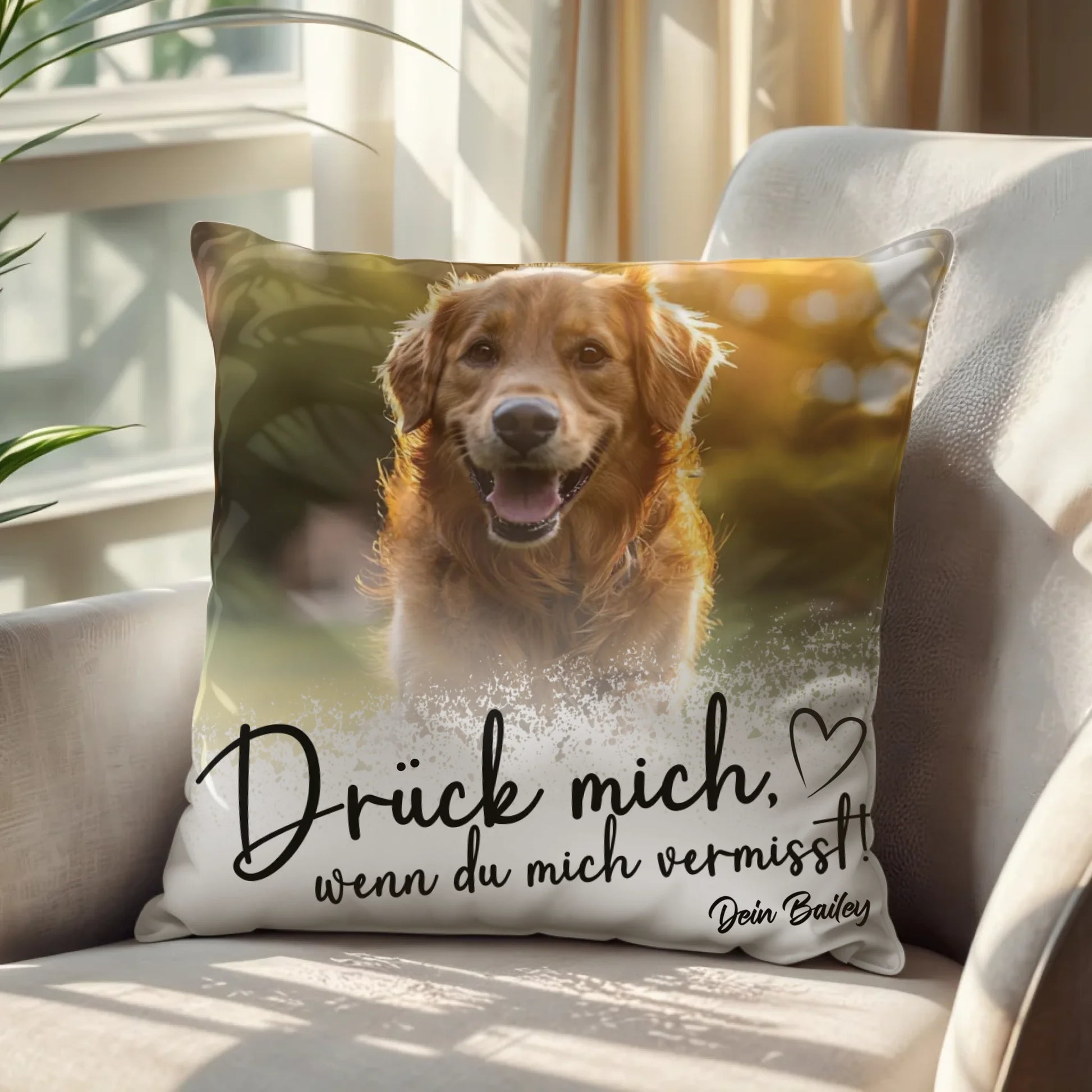 Kissen Sofa Nah - Background