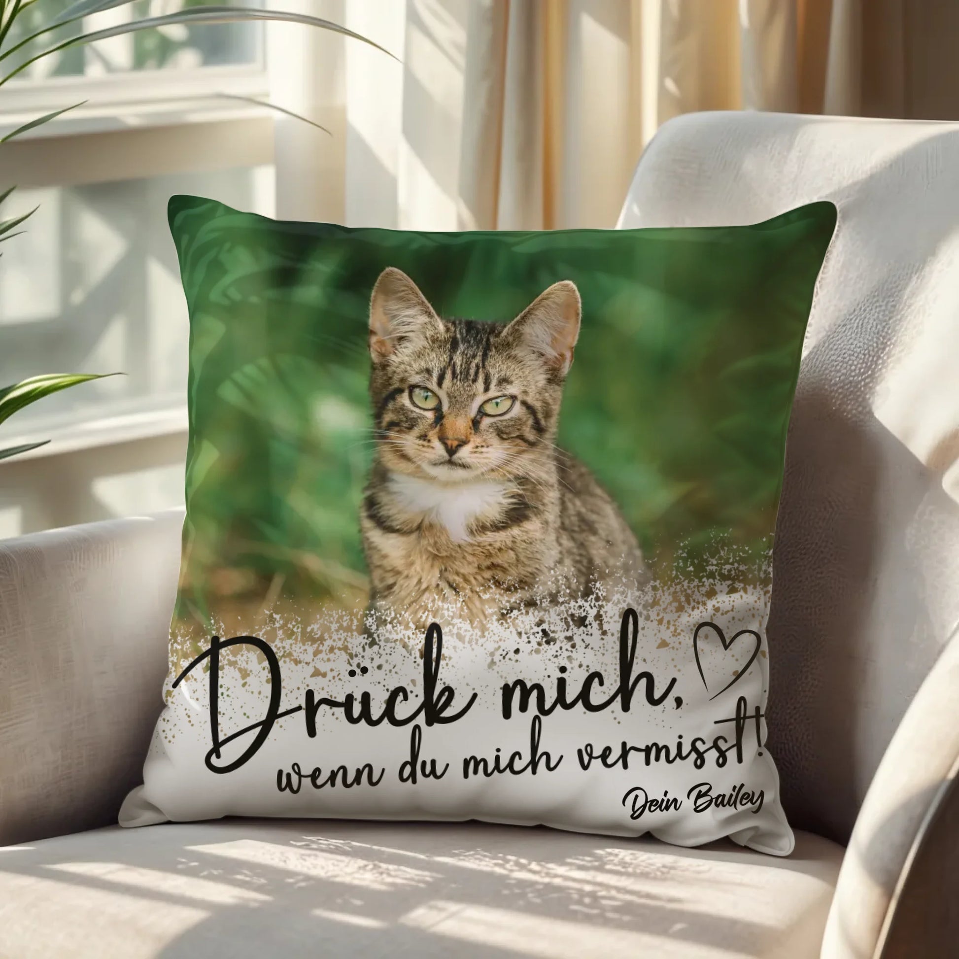 Kissen Sofa Nah - Background