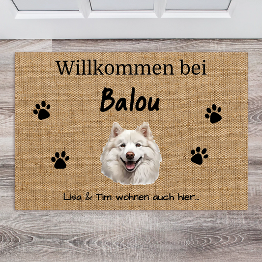 Fußmatte transparent v2